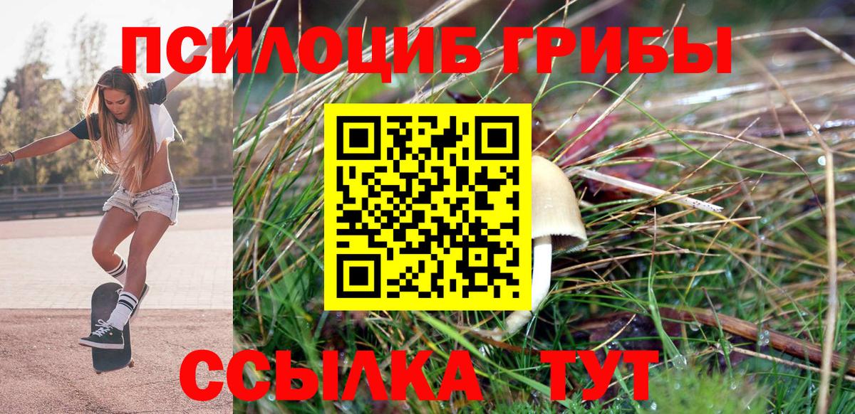 Корсаков  Галлюциногенные грибы мицелий  Вход с VPN 